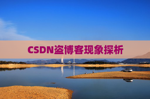 CSDN盗博客现象探析 CSDN盗博客现象探析